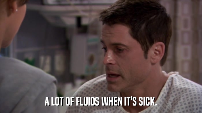 A LOT OF FLUIDS WHEN IT'S SICK.  