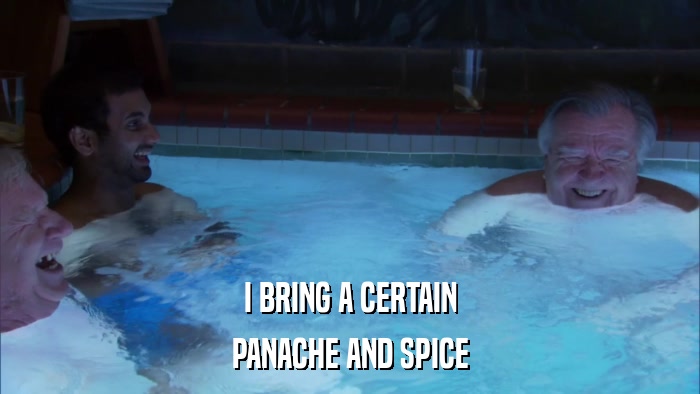 I BRING A CERTAIN PANACHE AND SPICE 