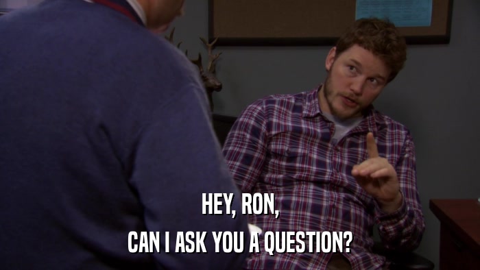 HEY, RON, CAN I ASK YOU A QUESTION? 