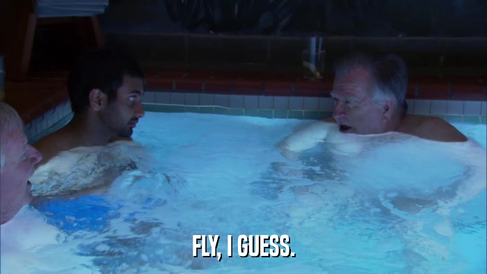 FLY, I GUESS.  