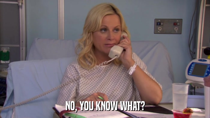 NO, YOU KNOW WHAT?  
