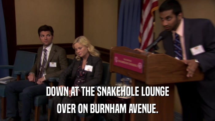 DOWN AT THE SNAKEHOLE LOUNGE OVER ON BURNHAM AVENUE. 