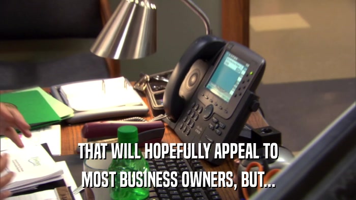 THAT WILL HOPEFULLY APPEAL TO MOST BUSINESS OWNERS, BUT... 