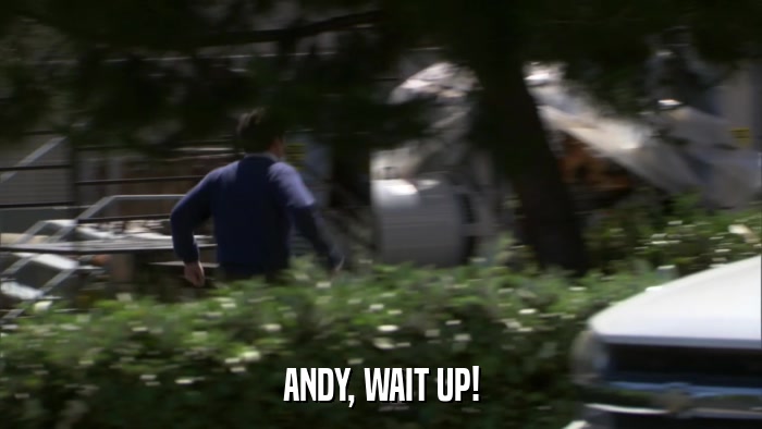 ANDY, WAIT UP!  