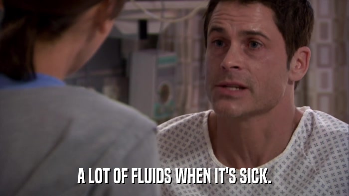 A LOT OF FLUIDS WHEN IT'S SICK.  
