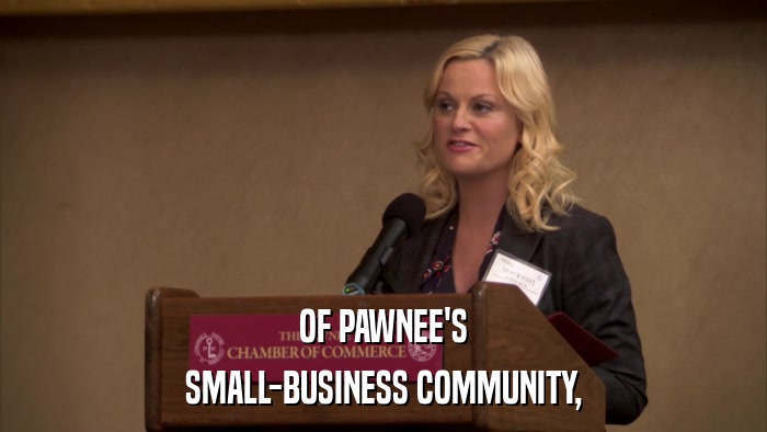OF PAWNEE'S SMALL-BUSINESS COMMUNITY, 