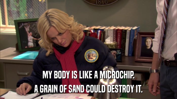 MY BODY IS LIKE A MICROCHIP. A GRAIN OF SAND COULD DESTROY IT. 