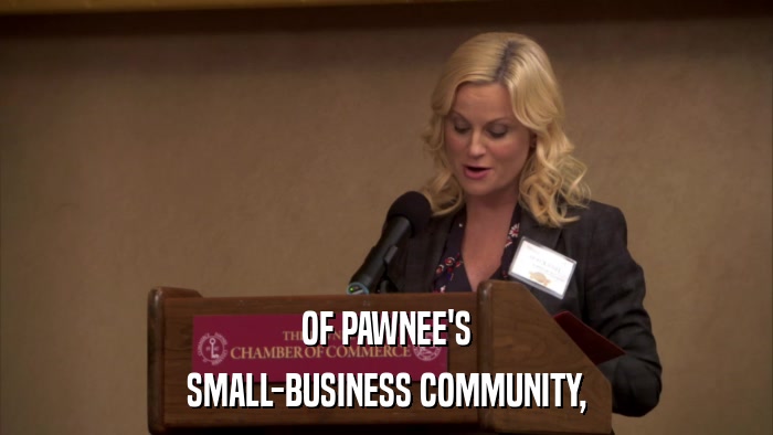 OF PAWNEE'S SMALL-BUSINESS COMMUNITY, 