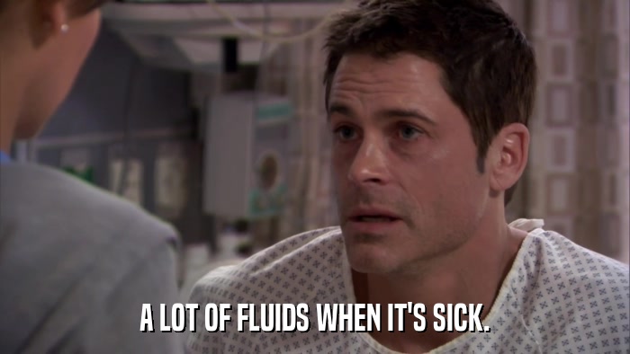 A LOT OF FLUIDS WHEN IT'S SICK.  