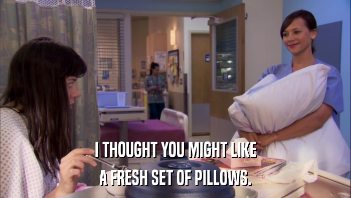 I THOUGHT YOU MIGHT LIKE A FRESH SET OF PILLOWS. 