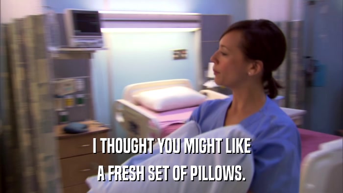 I THOUGHT YOU MIGHT LIKE A FRESH SET OF PILLOWS. 