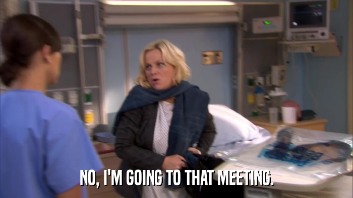 NO, I'M GOING TO THAT MEETING.  