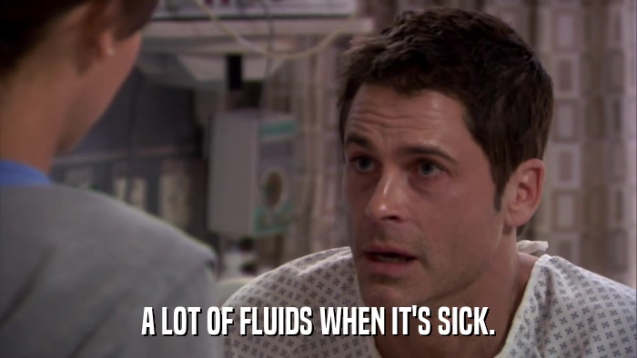 A LOT OF FLUIDS WHEN IT'S SICK.  