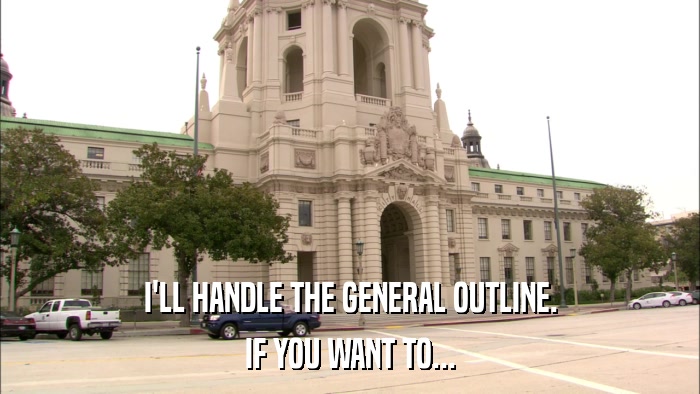 I'LL HANDLE THE GENERAL OUTLINE. IF YOU WANT TO... 