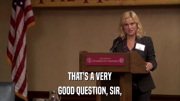 THAT'S A VERY GOOD QUESTION, SIR, 