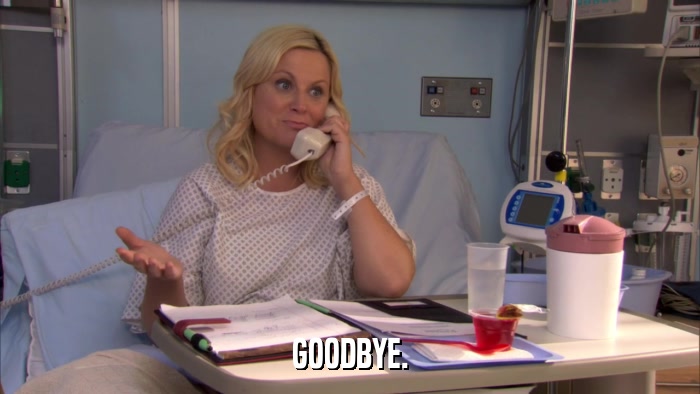 GOODBYE.  