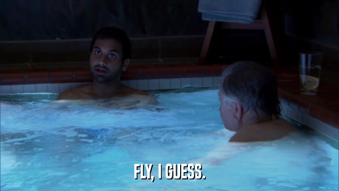 FLY, I GUESS.  