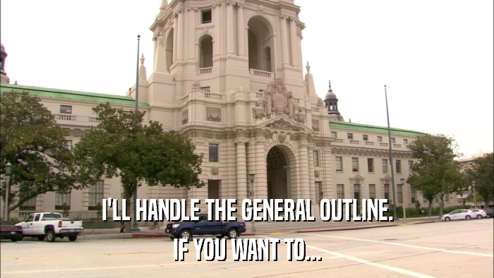 I'LL HANDLE THE GENERAL OUTLINE. IF YOU WANT TO... 