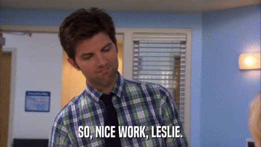 SO, NICE WORK, LESLIE.  
