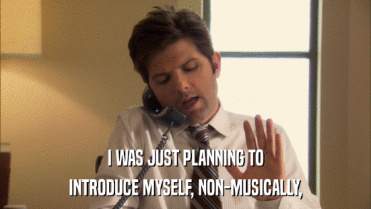 I WAS JUST PLANNING TO INTRODUCE MYSELF, NON-MUSICALLY, 