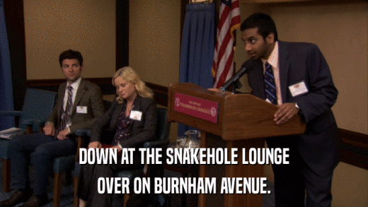 DOWN AT THE SNAKEHOLE LOUNGE OVER ON BURNHAM AVENUE. 