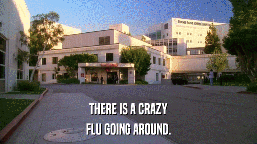THERE IS A CRAZY FLU GOING AROUND. 