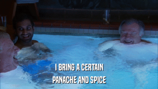 I BRING A CERTAIN PANACHE AND SPICE 