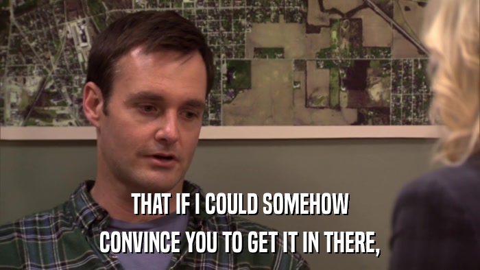 THAT IF I COULD SOMEHOW CONVINCE YOU TO GET IT IN THERE, 