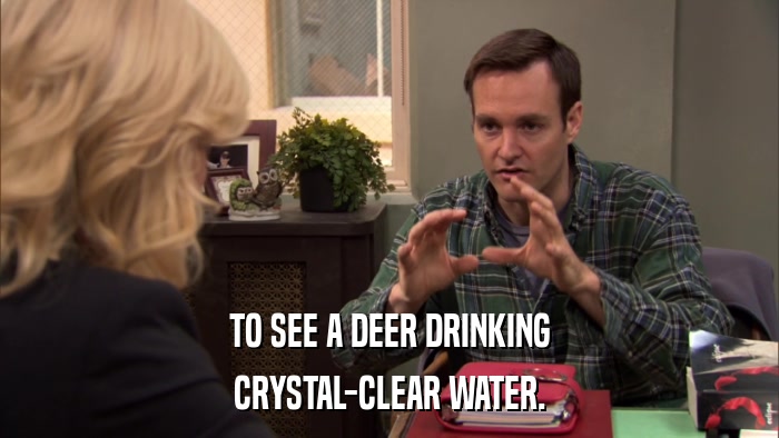 TO SEE A DEER DRINKING CRYSTAL-CLEAR WATER. 