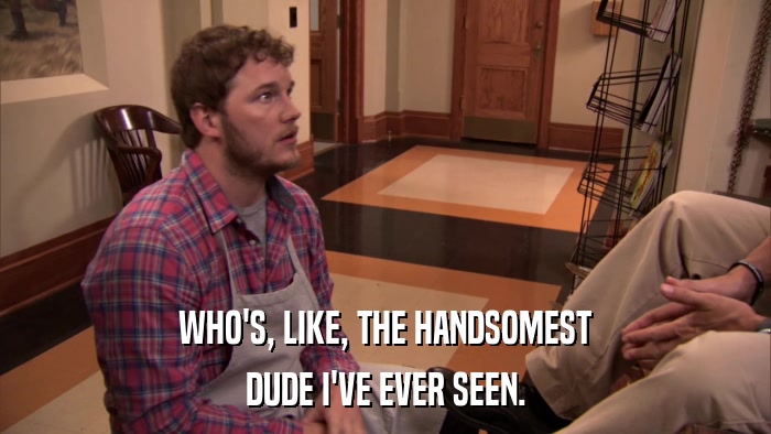 WHO'S, LIKE, THE HANDSOMEST DUDE I'VE EVER SEEN. 
