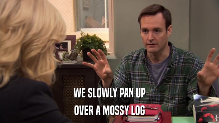 WE SLOWLY PAN UP OVER A MOSSY LOG 