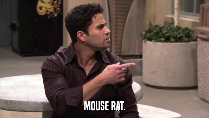 MOUSE RAT.  