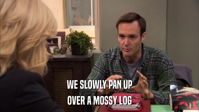 WE SLOWLY PAN UP OVER A MOSSY LOG 