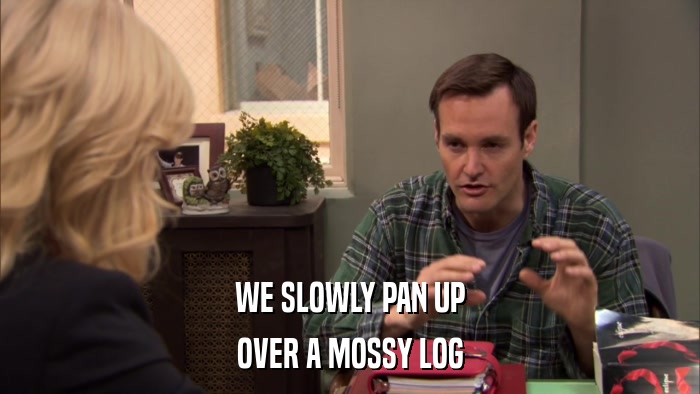 WE SLOWLY PAN UP OVER A MOSSY LOG 