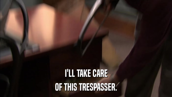I'LL TAKE CARE OF THIS TRESPASSER. 