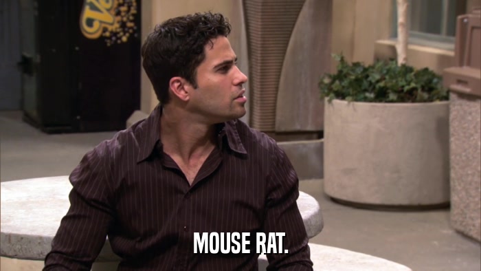 MOUSE RAT.  