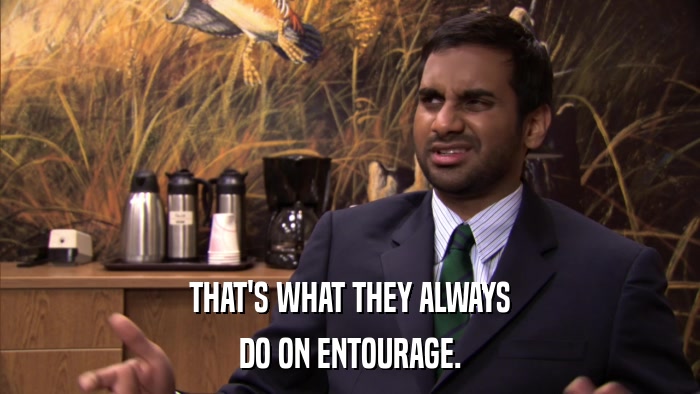 THAT'S WHAT THEY ALWAYS DO ON ENTOURAGE. 