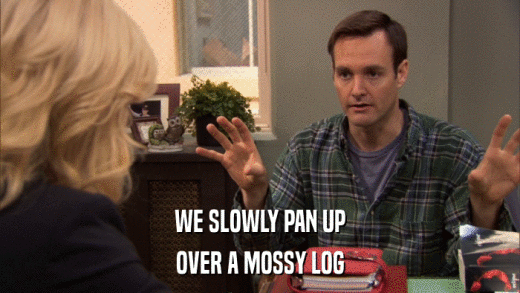 WE SLOWLY PAN UP OVER A MOSSY LOG 