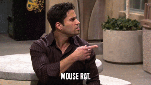 MOUSE RAT.  