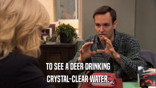 TO SEE A DEER DRINKING CRYSTAL-CLEAR WATER. 