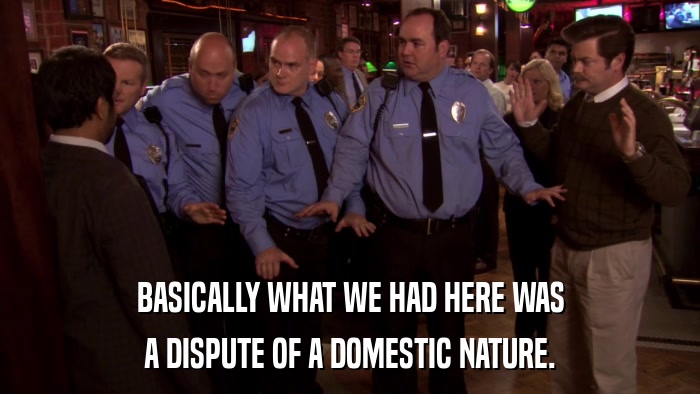 BASICALLY WHAT WE HAD HERE WAS A DISPUTE OF A DOMESTIC NATURE. 