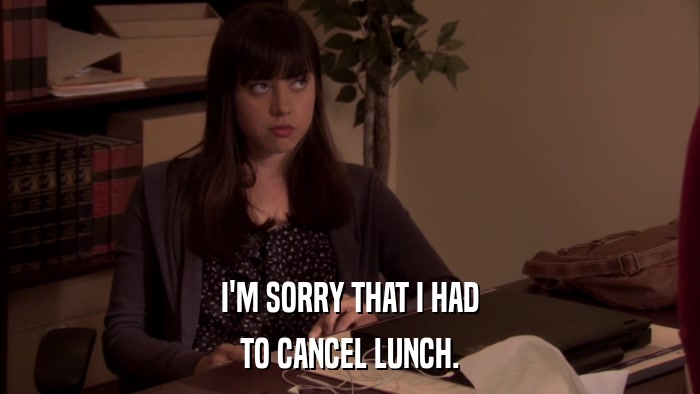 I'M SORRY THAT I HAD TO CANCEL LUNCH. 