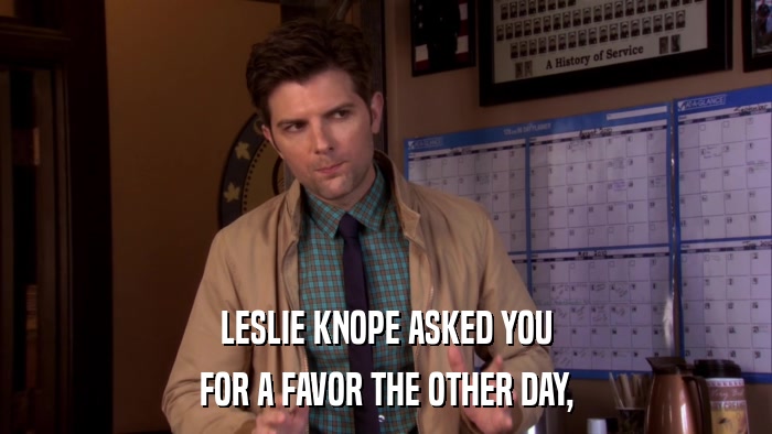 LESLIE KNOPE ASKED YOU FOR A FAVOR THE OTHER DAY, 