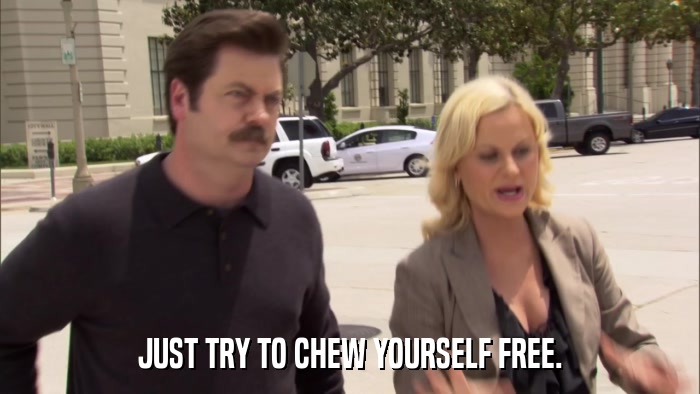 JUST TRY TO CHEW YOURSELF FREE.  
