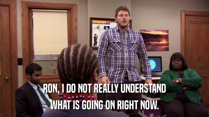 RON, I DO NOT REALLY UNDERSTAND WHAT IS GOING ON RIGHT NOW. 
