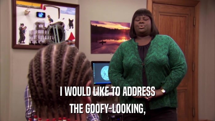 I WOULD LIKE TO ADDRESS THE GOOFY-LOOKING, 