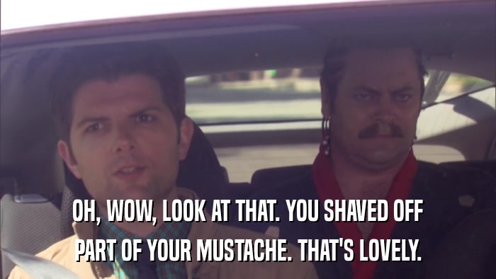 OH, WOW, LOOK AT THAT. YOU SHAVED OFF PART OF YOUR MUSTACHE. THAT'S LOVELY. 