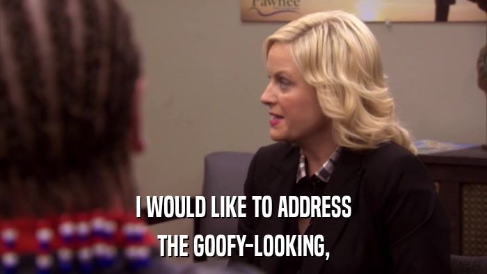 I WOULD LIKE TO ADDRESS THE GOOFY-LOOKING, 