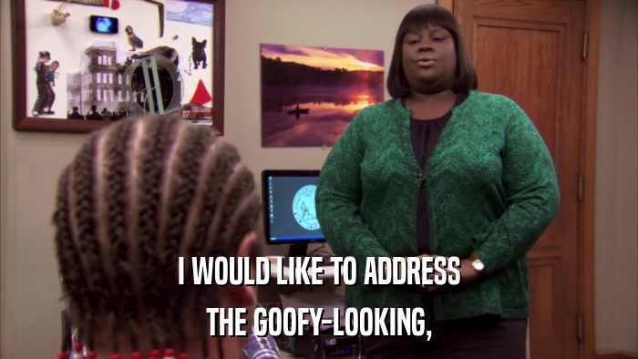 I WOULD LIKE TO ADDRESS THE GOOFY-LOOKING, 
