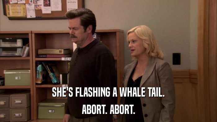 SHE'S FLASHING A WHALE TAIL. ABORT. ABORT. 